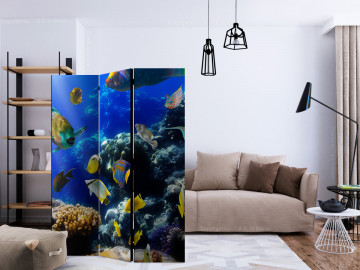 Paravan - Underwater adventure [Room Dividers] - Img 2