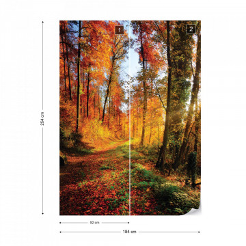 Sunrise In Autumn Forest Photo Wallpaper Wall Mural - Img 7