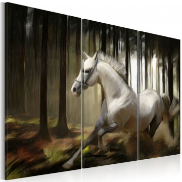 Tablou - A white horse in the midst of the trees - Img 1