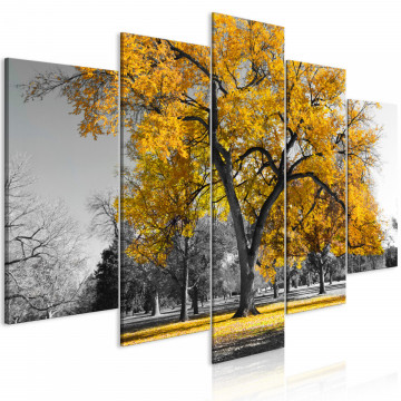 Tablou - Autumn in the Park (5 Parts) Wide Gold - Img 1