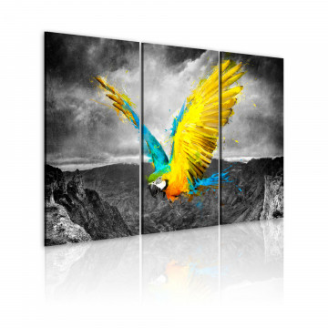 Tablou - Bird-of-paradise - Img 1