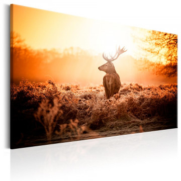 Tablou - Deer in the Sun - Img 1