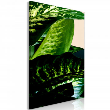 Tablou - Dieffenbachia (1 Part) Vertical - Img 1