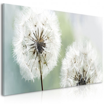 Tablou - Fluffy Dandelions (1 Part) Green Wide - Img 1
