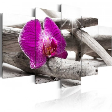 Tablou - Orchid on beach - Img 1