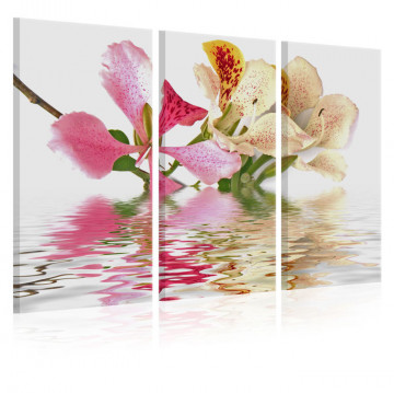 Tablou - Orchid with colorful spots - Img 1