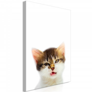 Tablou - Vexed Cat (1 Part) Vertical - Img 1