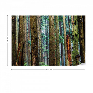 Tree Textures In The Forest Photo Wallpaper Wall Mural - Img 10