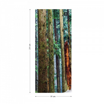 Tree Textures In The Forest Photo Wallpaper Wall Mural - Img 11