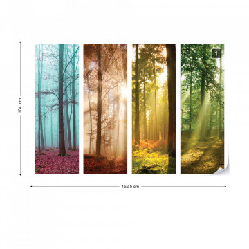 4 Seasons In The Forest Photo Wallpaper Wall Mural - Img 8
