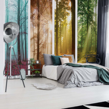 4 Seasons In The Forest Photo Wallpaper Wall Mural - Img 11