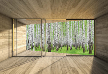 Birch Forest 3D Modern Window View Photo Wallpaper Wall Mural - Img 6