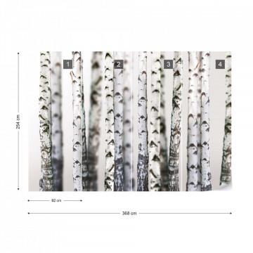 Birch Trees Forest Nature Texture Photo Wallpaper Wall Mural - Img 8