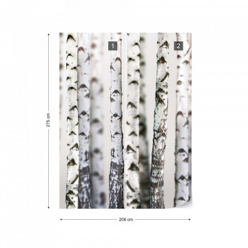 Birch Trees Forest Nature Texture Photo Wallpaper Wall Mural - Img 11