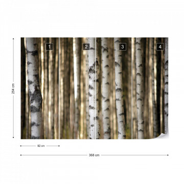 Birch Trees In The Forest Photo Wallpaper Wall Mural - Img 9