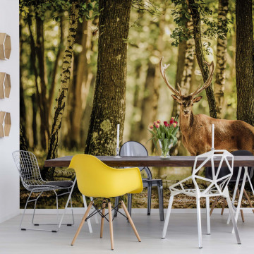 Deer In The Forest Nature Photo Wallpaper Wall Mural - Img 15