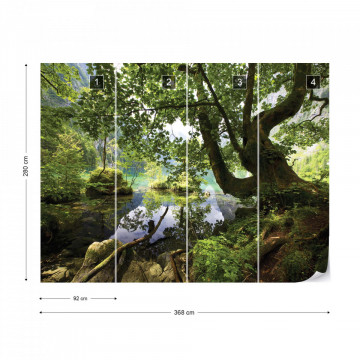 Forest Trees Lake Photo Wallpaper Wall Mural - Img 9