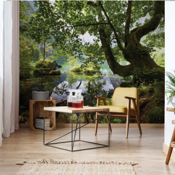 Forest Trees Lake Photo Wallpaper Wall Mural - Img 19