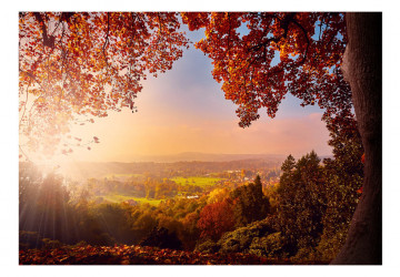 Fototapet - Autumn Delight - Img 2