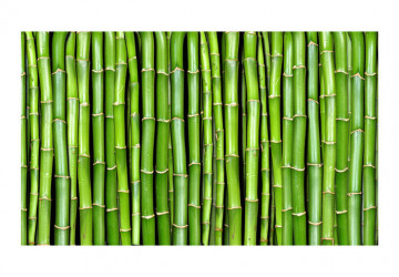 Fototapet - Bamboo wall - Img 2