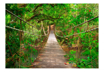 Fototapet - Bridge amid greenery - Img 2
