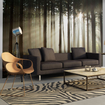 Fototapet - Coniferous forest - Img 1