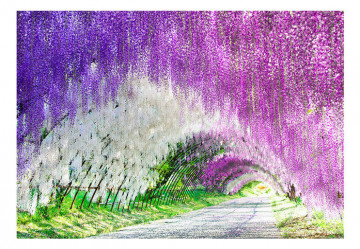 Fototapet - Enchanted garden - Img 2