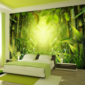 Fototapet - Forest fairy - Img 1