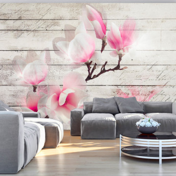 Fototapet - Gentleness of the Magnolia - Img 1
