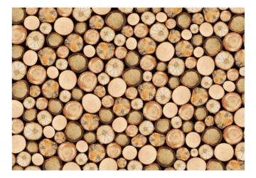 Fototapet - In sawmill - Img 2