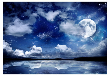 Fototapet - Magic night - Img 2