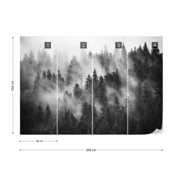 Fototapet - Pădure de Brazi în Ceață – Alb-Negru - Img 12