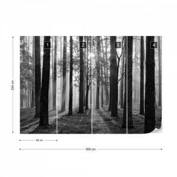 Fototapet - Răsărit de Soare în Pădure – Alb-Negru - Img 12