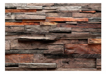 Fototapet - Rustic Style: Old Forest - Img 2