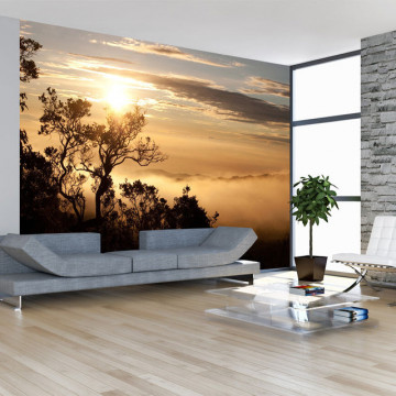 Fototapet - Sky and trees - Img 1