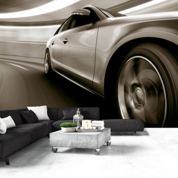 Fototapet - Speed and Elegance - Img 1