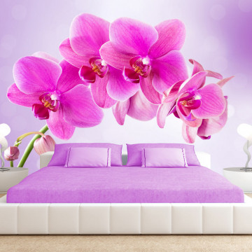 Fototapet - Thoughtfulness - Img 1