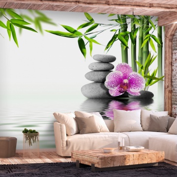 Fototapet - Water Garden - Img 1