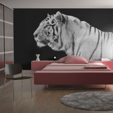 Fototapet - White tiger - Img 1