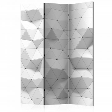 Paravan - Amazing Symmetry [Room Dividers] - Img 1