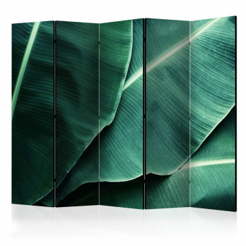 Paravan - Banana Leaf II [Room Dividers] - Img 1