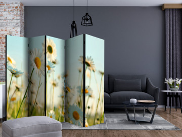 Paravan - Daisies - spring meadow II [Room Dividers] - Img 2