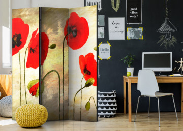 Paravan - Golden Field of Poppies [Room Dividers] - Img 2