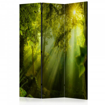 Paravan - In a Secret Forest II [Room Dividers] - Img 1