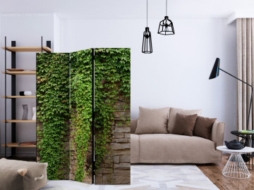 Paravan - Ivy wall [Room Dividers] - Img 2