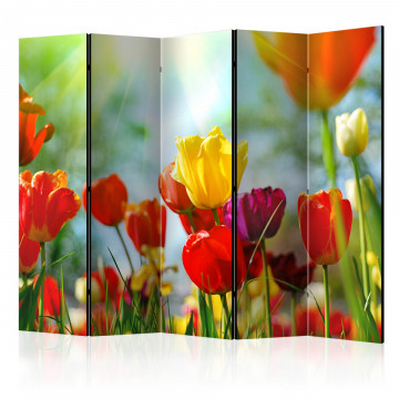 Paravan - Spring Tulips II [Room Dividers] - Img 1