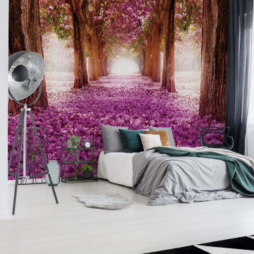 Pink Trees Path Photo Wallpaper Wall Mural - Img 2