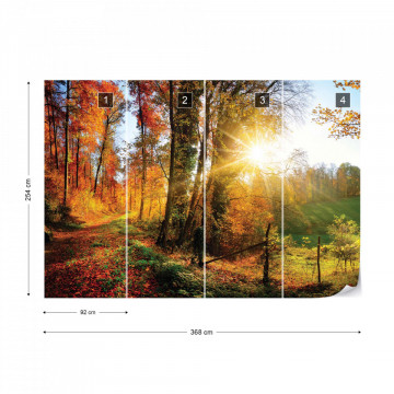 Sunrise In Autumn Forest Photo Wallpaper Wall Mural - Img 8