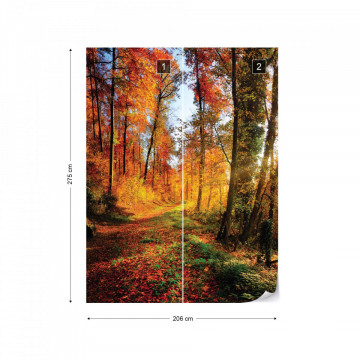 Sunrise In Autumn Forest Photo Wallpaper Wall Mural - Img 12