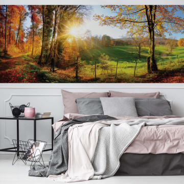 Sunrise In Autumn Forest Photo Wallpaper Wall Mural - Img 22